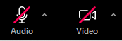 Audio and Video with red line showing disabled